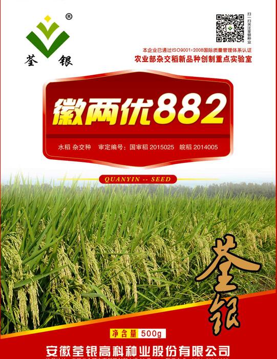 荃银高科水稻新品种引领科技创新，助力粮食安全