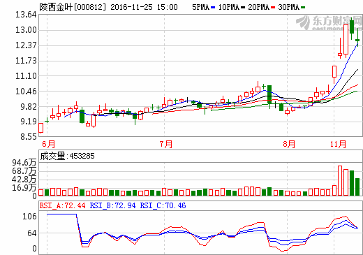 陕西金叶股吧最新动态解析，展望000812的未来发展前景