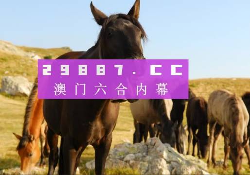 澳门今晚一肖码100准管家娶,国产化作答解释落实_纪念版3.866