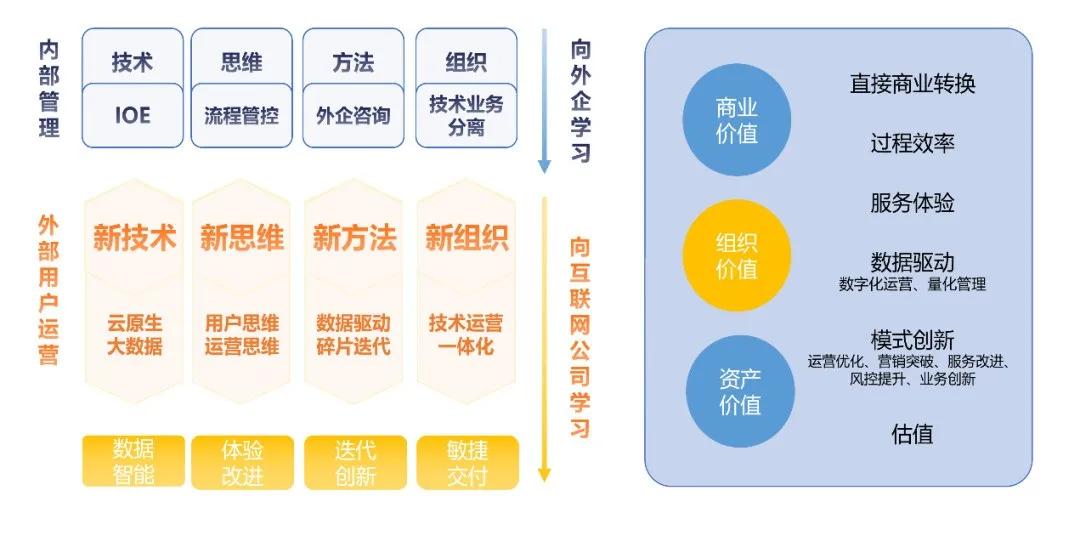 新澳门今晚特马,数据驱动执行方案_标准版1.292