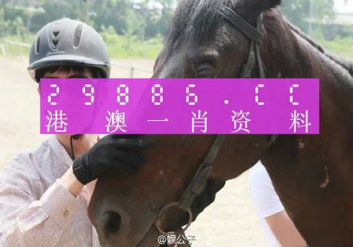 澳门一肖一码一,经典解释落实_标准版90.65.32