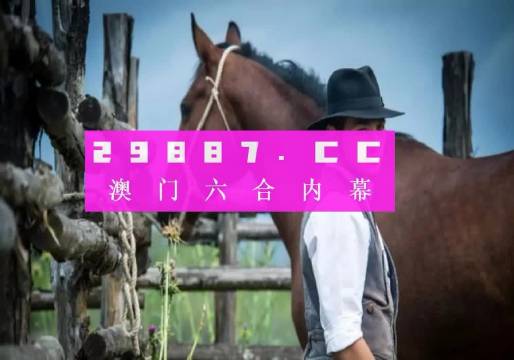 4949澳门精准免费大全2023,最新核心解答落实_豪华版180.300