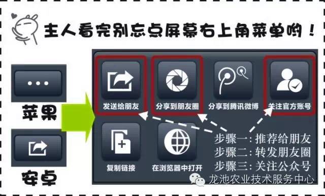 626969澳门资料大全版,平衡性策略实施指导_交互版3.688