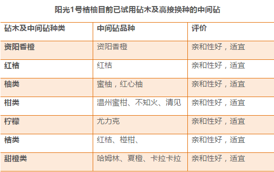 新澳天天开奖资料大全三中三,专业说明解析_潮流版65.41