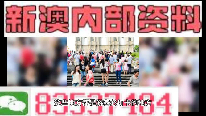 新澳精准资料免费提供网站,动态解析词汇_投资版67.513