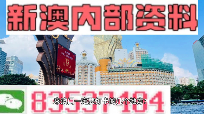 澳门精准资料免费分享，安全攻略解析_模拟版QXA106.56