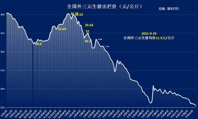 2024澳门今晚特马揭晓号码，数据解析详述_动漫风呈现