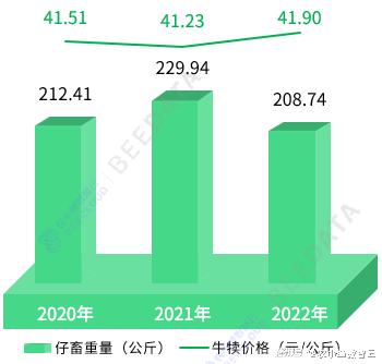 2024年度免费资料汇编：数据解读与应用指南_DNI247.4版