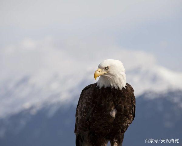 白云先生，探索未知，追寻真理之旅