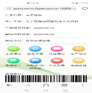 2024新奥开码结果,实地解析数据考察_AP12.789