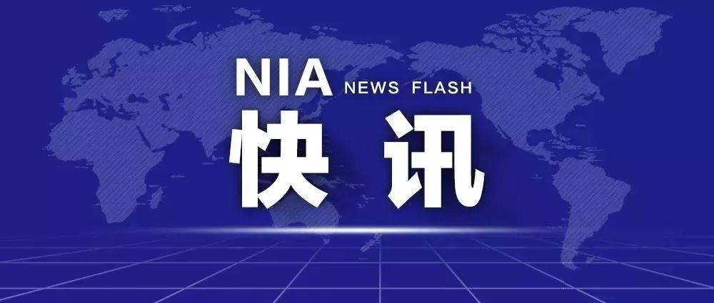 2024新澳门今晚开奖号码和香港,互动性执行策略评估_经典款21.240