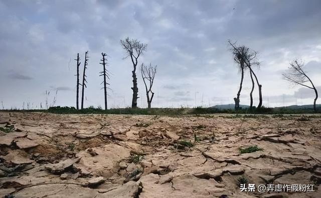 北方稀土最新动态，引领行业变革，塑造未来趋势