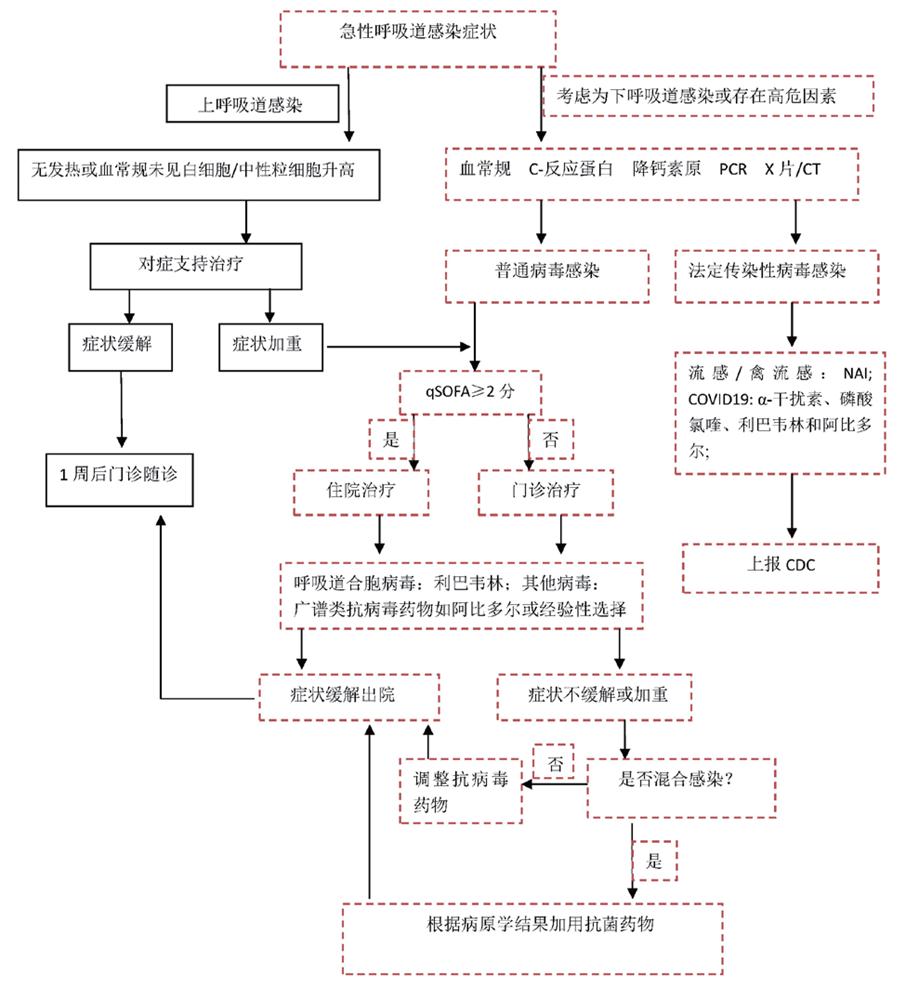 全国病毒感染最新动态，全民应对，共克时艰