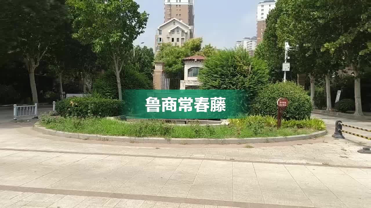 鲁商常春藤最新房价及市场趋势深度解析