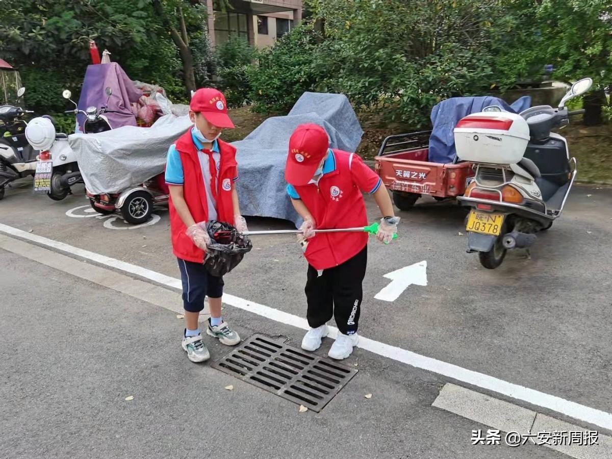 六安海心沙价格动态与市场分析报告