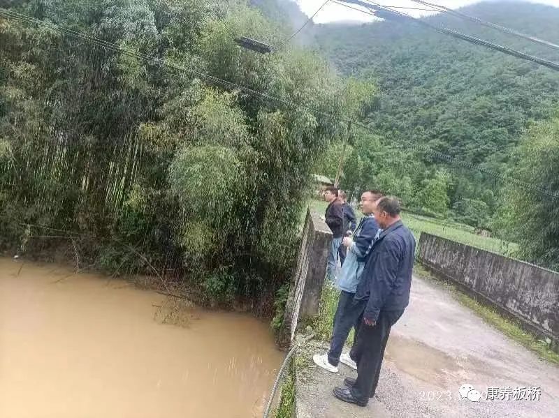 板桥郝家湾，乡村蜕变与未来展望的最新消息