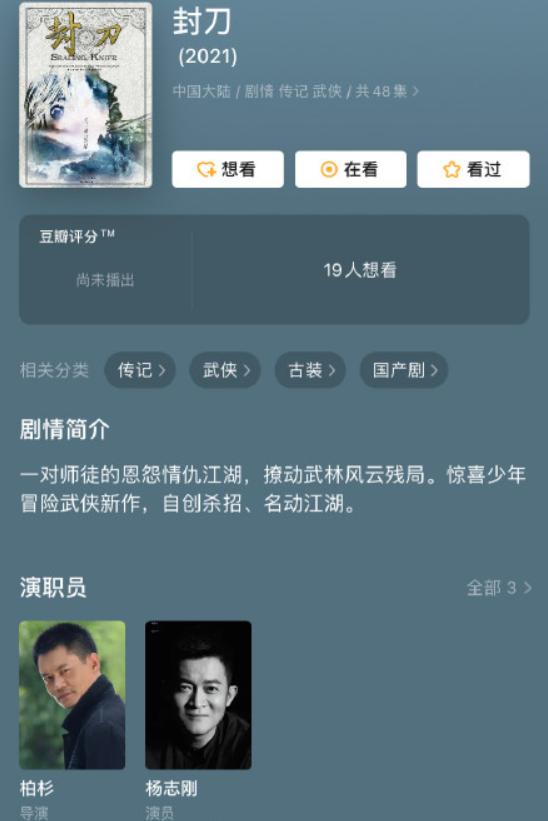 杨志刚最新主演电视剧，深度解析与探讨