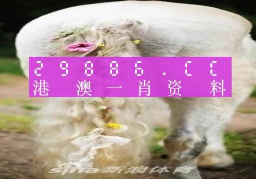 澳门一肖一码一中一肖246,正确解答落实_专业版150.205