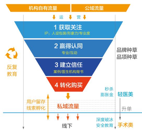 揭秘提升平肖100,具体操作步骤指导_豪华版180.300