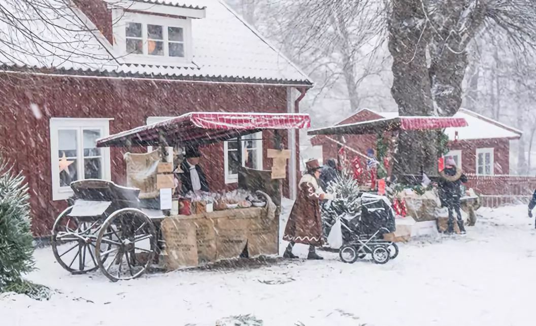 澳门一码一肖一特一中管家婆义,动态词语解释落实_精英版201.123