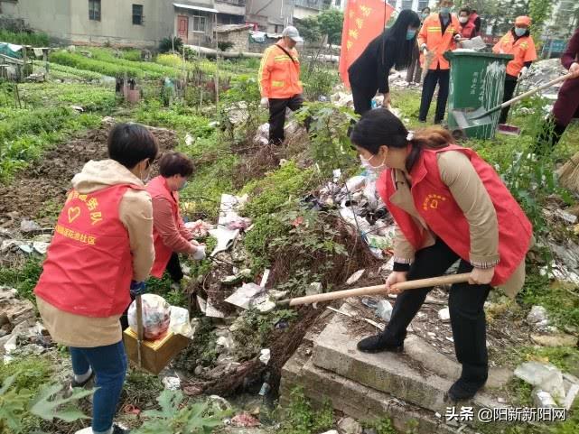 江西省兴国县最新新闻速递