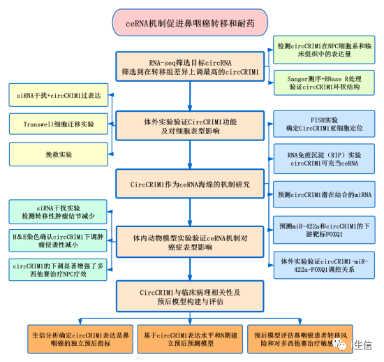 夜幕幽灵 第6页