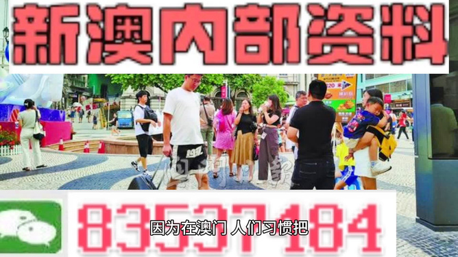 2024澳新资料精准免费发布，官方版MYG113.22全新解读方案