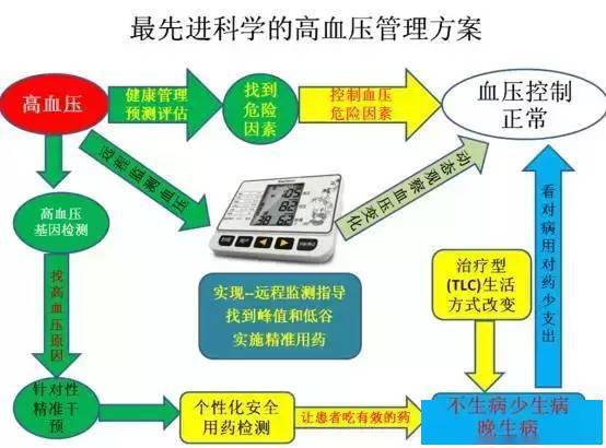 夜色中的猫 第4页