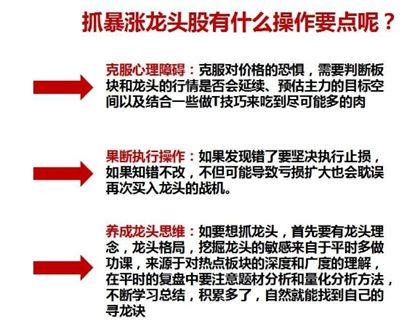 2024年11月17日 第83页