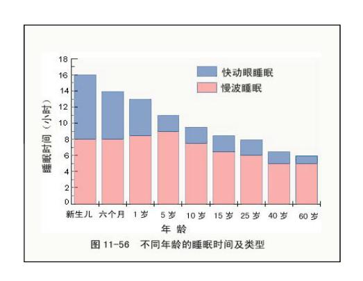 2024新澳彩资料免费资料大全,完整机制评估_试验款98.097