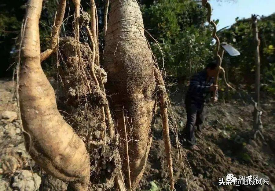 人体拍摄幕后揭秘，美丽背后的故事探索