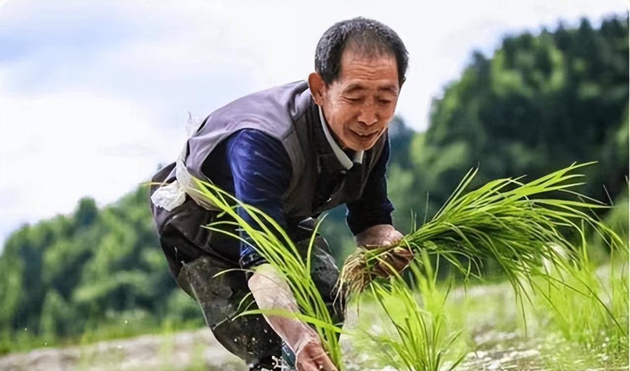 耕地补偿最新标准解读及应用指南