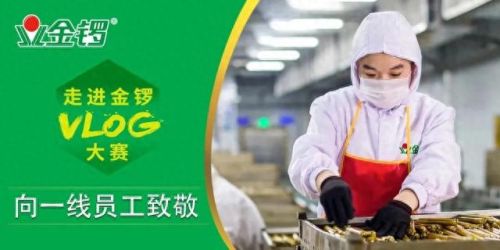 半程金锣最新招工信息及其产业影响分析