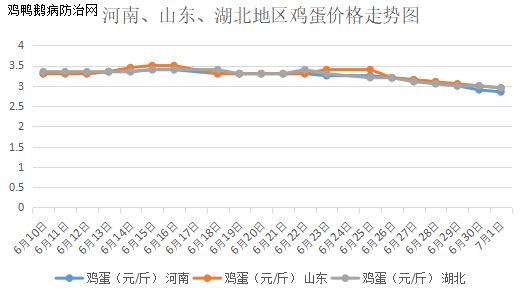 全国鸡蛋每日最新价格走势分析