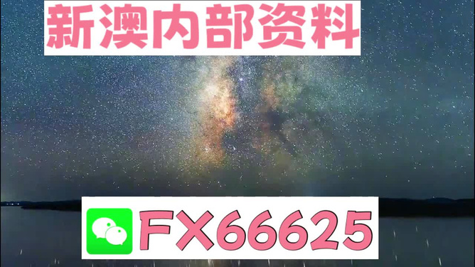 新澳天天免费资料大全,动态解析词汇_Holo37.881