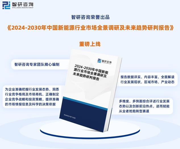 2024新奥正版资料免费,战略性实施方案优化_游戏版91.185