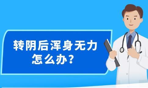 新澳精准资料免费提供网,数据资料解释落实_静态版95.306