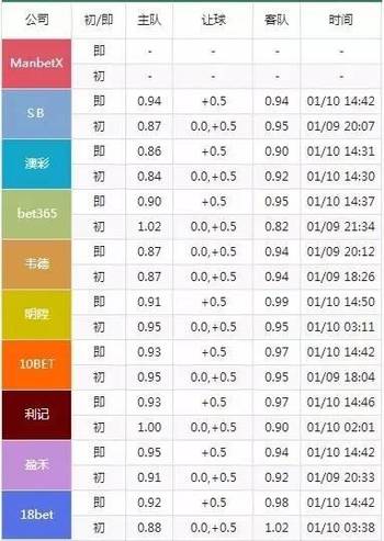 2024澳门六今晚开什么特,实地验证分析_BT21.273