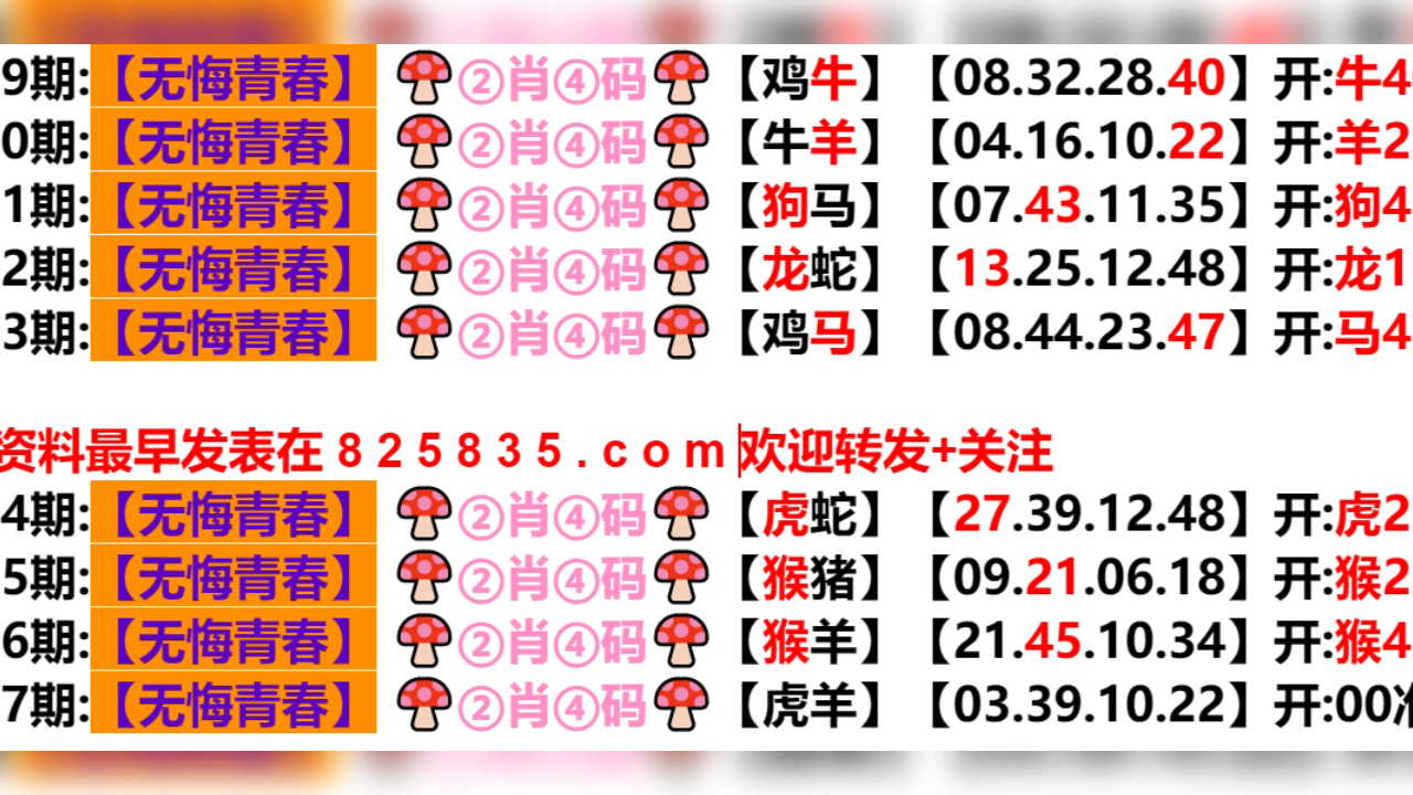 2024新奥门今晚开奖号码｜精选解释解析落实