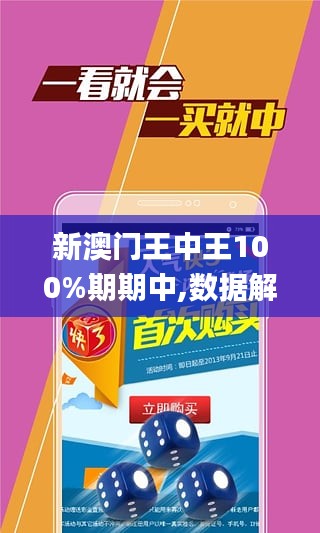 新澳门王中王100%期期中,高效实施方法解析_UHD款41.879